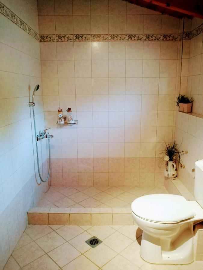 Rebekka'S Guest House Elani シビリ エクステリア 写真